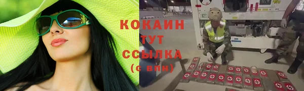 шишки Зеленокумск