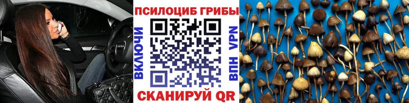 где купить наркоту  Орёл  Галлюциногенные грибы Psilocybe 
